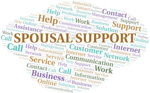 Spousal Support word grid